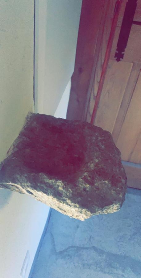 La bergerie du Chêne Casa de hóspedes Omessa Exterior foto