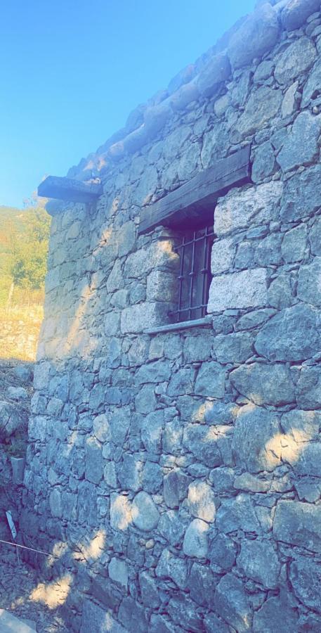 La bergerie du Chêne Casa de hóspedes Omessa Exterior foto