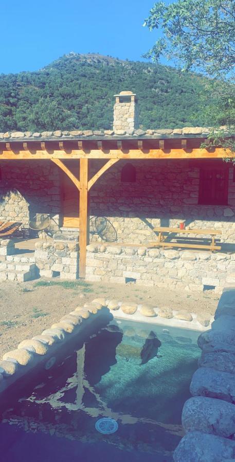 La bergerie du Chêne Casa de hóspedes Omessa Exterior foto
